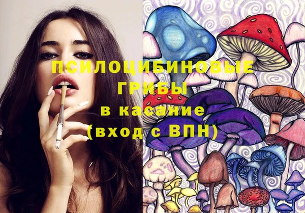 гидропоника Богородицк