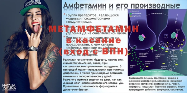 ECSTASY Богданович