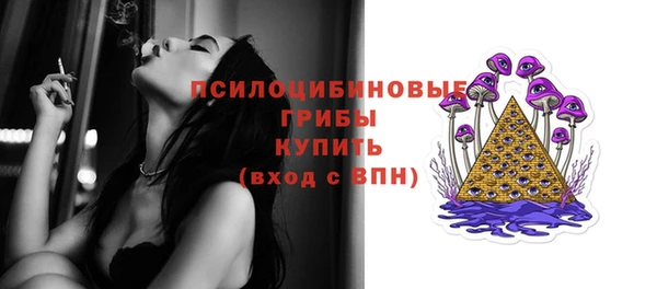 гидропоника Богородицк
