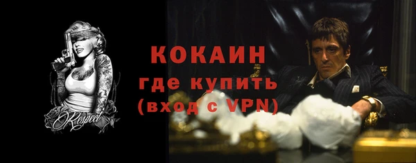 стаф Белокуриха