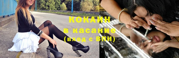 стаф Белокуриха