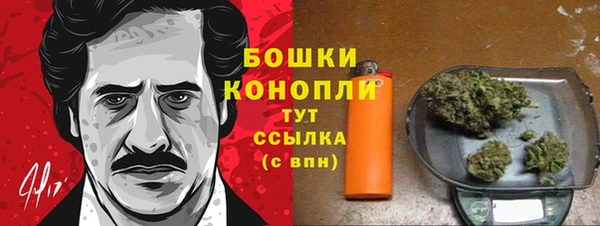 spice Беломорск