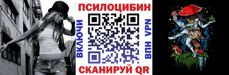 Галлюциногенные грибы Psilocybine cubensis  купить  цена  MEGA ONION  Волосово 